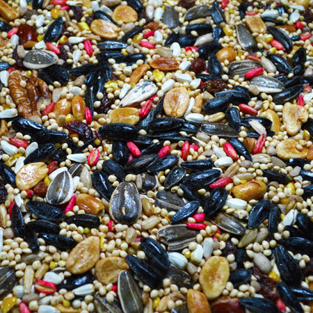 Naturalist Berry Fruit n Nutty Mix