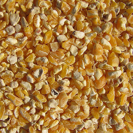 Cracked Corn Medium