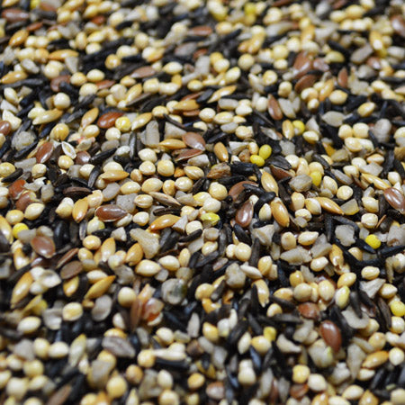 Naturalist English Finch Mix