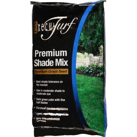 grass seed for low sun areas Execu-Turf Premium Shade Mix – Lawn Central Station