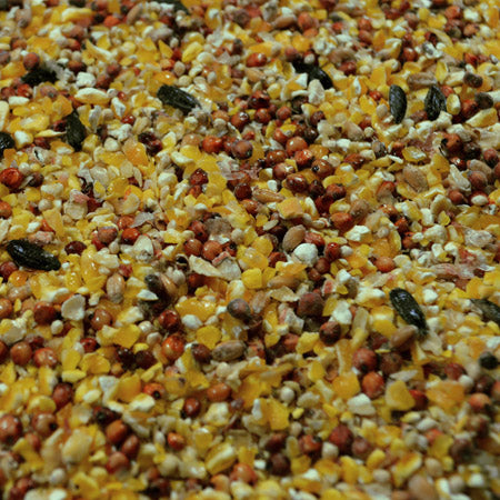 Thrifty Wild Bird Mix