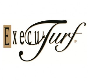 How to Choose the Right Grass Seed for Your Yard