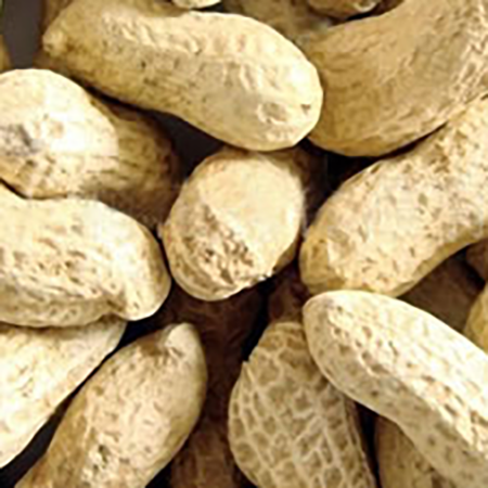 Whole In Shell Peanuts
