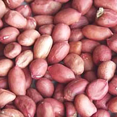 Shelled Peanuts