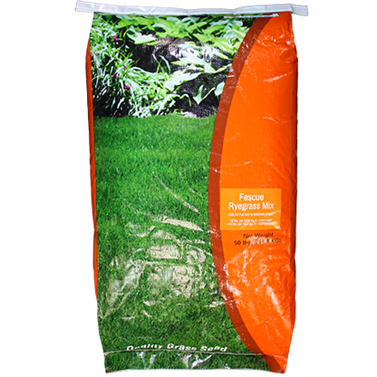 Cisco Fescue/Ryegrass Mix