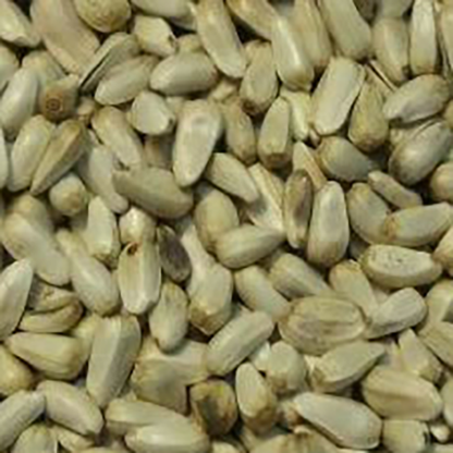 Safflower Seed